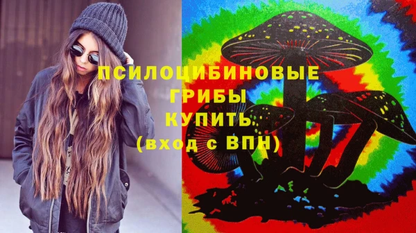 дмт Грязовец
