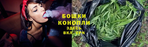 шишки Вязники