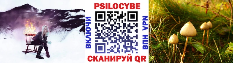 Псилоцибиновые грибы Psilocybe  Дигора 