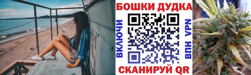 Бошки Шишки сатива Дигора